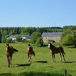 Lavish In Forrieres With Sauna * Lesterny