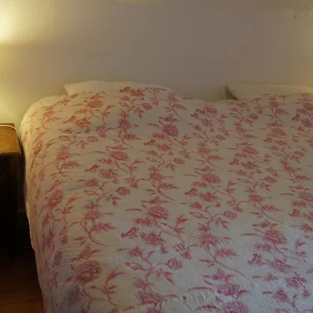 Holiday home Lavish In Forri Res With Sauna