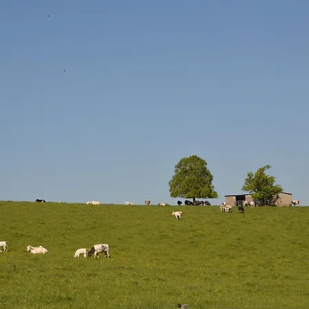 Tatil Evi Lavish In Forrieres With Sauna *