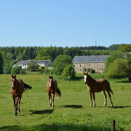 Lavish In Forrieres With Sauna * Lesterny
