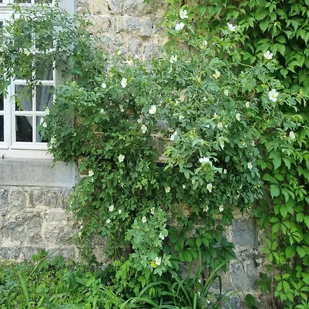 Lavish In Forrieres With Sauna 펜션 *